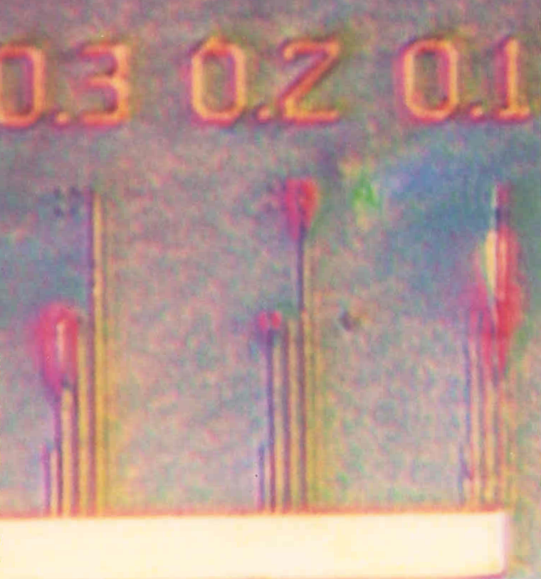 PTB Chip, Enlarged central Section